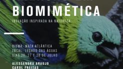 Imersão em Biomimética
