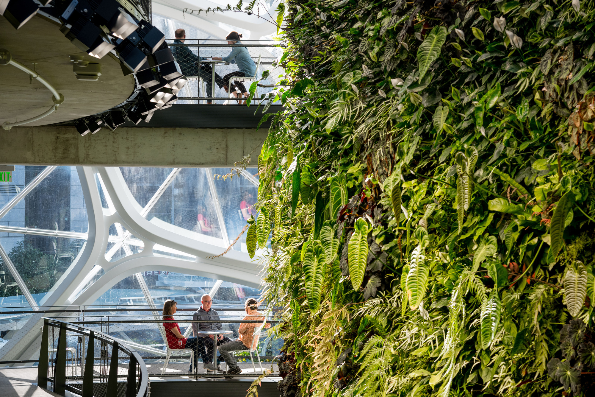 Gallery of Amazon Spheres / NBBJ 4