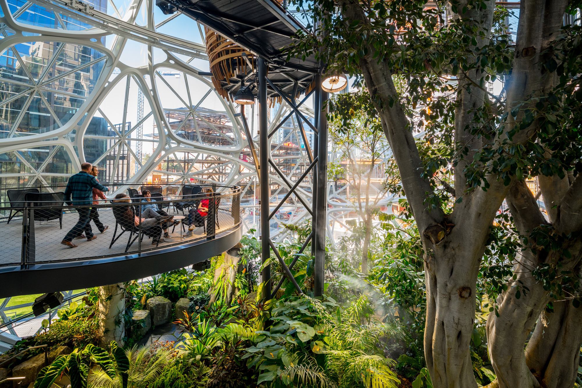 Gallery of Amazon Spheres / NBBJ 7