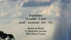 L'Amazonie en construction: l'architecture des fleuves volants