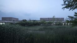 唐仲英基金会中国中心 / 浙江大学建筑设计研究院