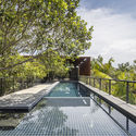 Casa Campinarana / Laurent Troost Architectures - Jardim