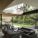 Casa árbol / Aidlin Darling Design - Casas