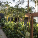 Elementary Garden / Kalil Ferre Pasagismo - Landscape Architecture