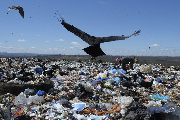 What Can Nature Teach Architects about Resilience - Image 10 of 13