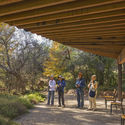 Tucson Audubon’s Paton Center for Hummingbird’s Wildlife Pavilion / DUST - Exterior Photography, Installations & Structures, Garden, Forest