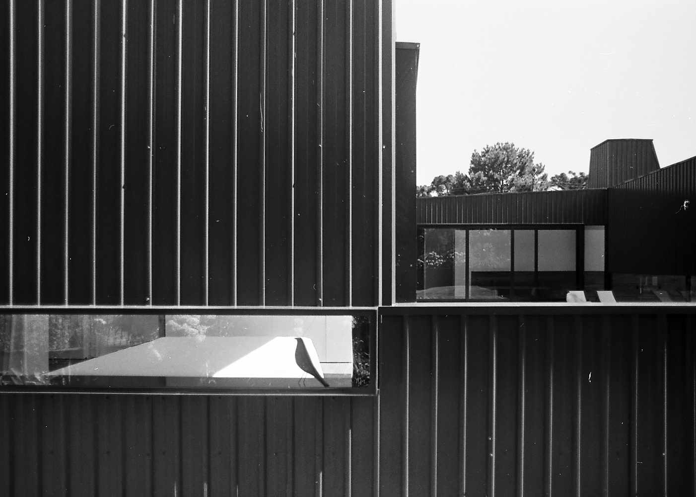 Casa de Lata / sauermartins - Fachada