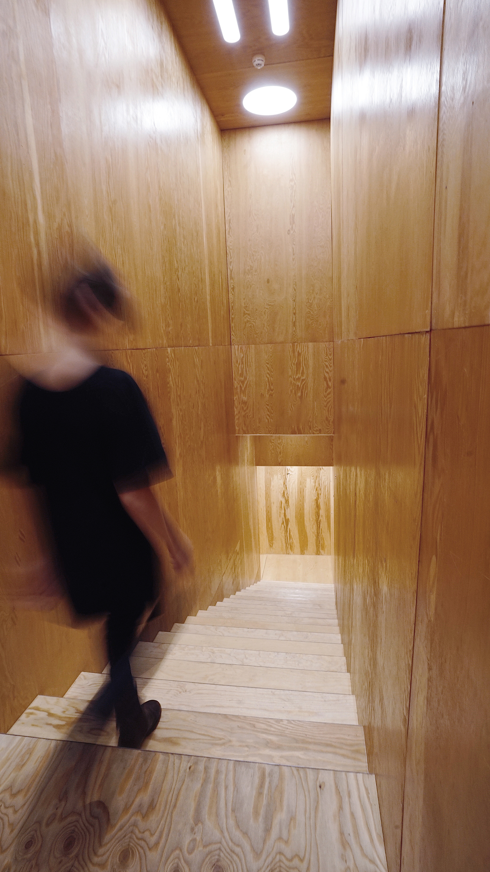 Gallery of Plywood Theatre / ARCHATTACKA 19