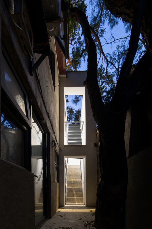 Tree Courtyard / Atelier Jian - Windows, Stairs