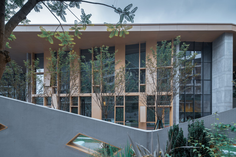 Fantasia·Blossom School / PURE Architects - Windows, Facade, Handrail