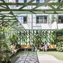 Tree Courtyard / MAT Office - Windows, Chair, Facade