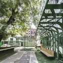 Tree Courtyard / MAT Office - Exterior Photography, Garden