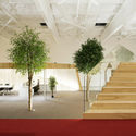 Lenne 总部，‘真假’室内森林 / Kamp Arhitektid - 办公室室内