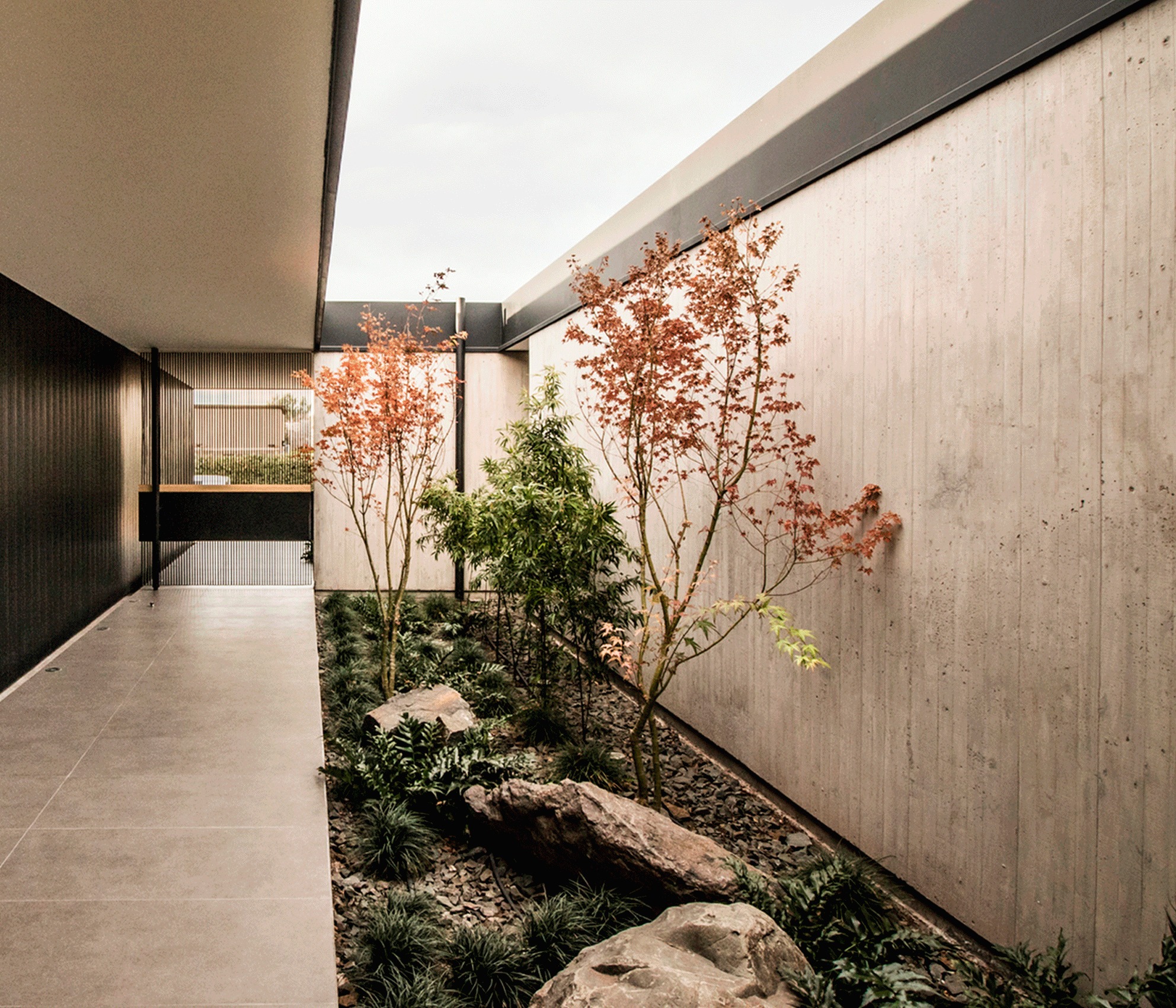 Galería de Patios Interiores en casas argentinas ejemplos