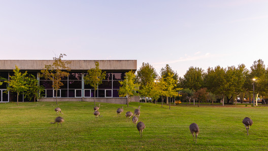 Obring Offices / Estudio Pablo Gagliardo - Image 24 of 43