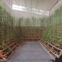 Andrade Morettin designs the architecture and exhibition design for the 34th Bienal de São Paulo - Imagem 4 de 4
