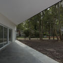 House Between Trees / Diego Arraigada Arquitecto - Image 5 of 24