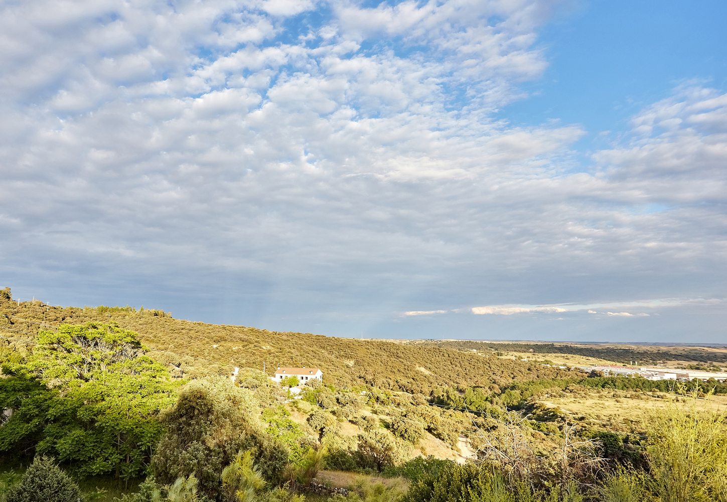 Gallery of Grande House / Lado Blanco Arquitecturas 11