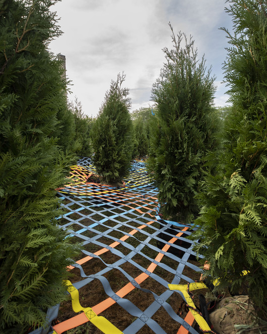 Into the Hedge Temporary Landmark / SO-IL Into the Hedge Temporary Landmark / SO-IL - Image 4 of 7