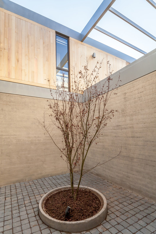 Casa Patio / PAR Arquitectos - Ventanas, Jardín