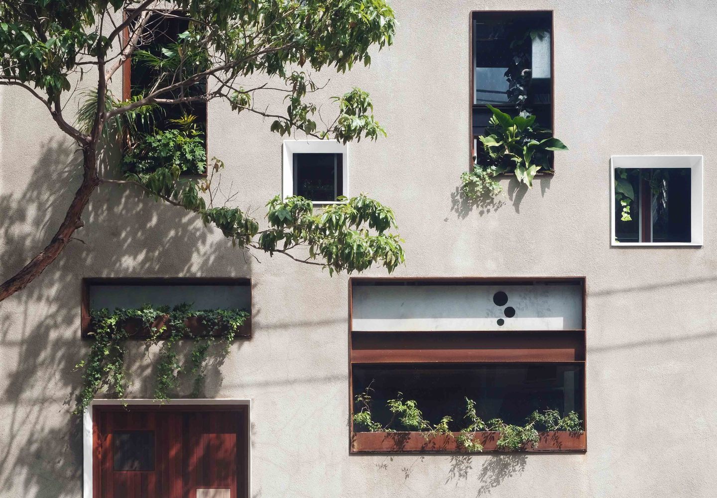丛林小屋，当历史与树木的味道交织 / CplusC Architects + Builders - 建筑图, 表皮