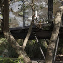 Casita del árbol / Paschetta Cavallero Arquitectos - Ventanas, Bosque