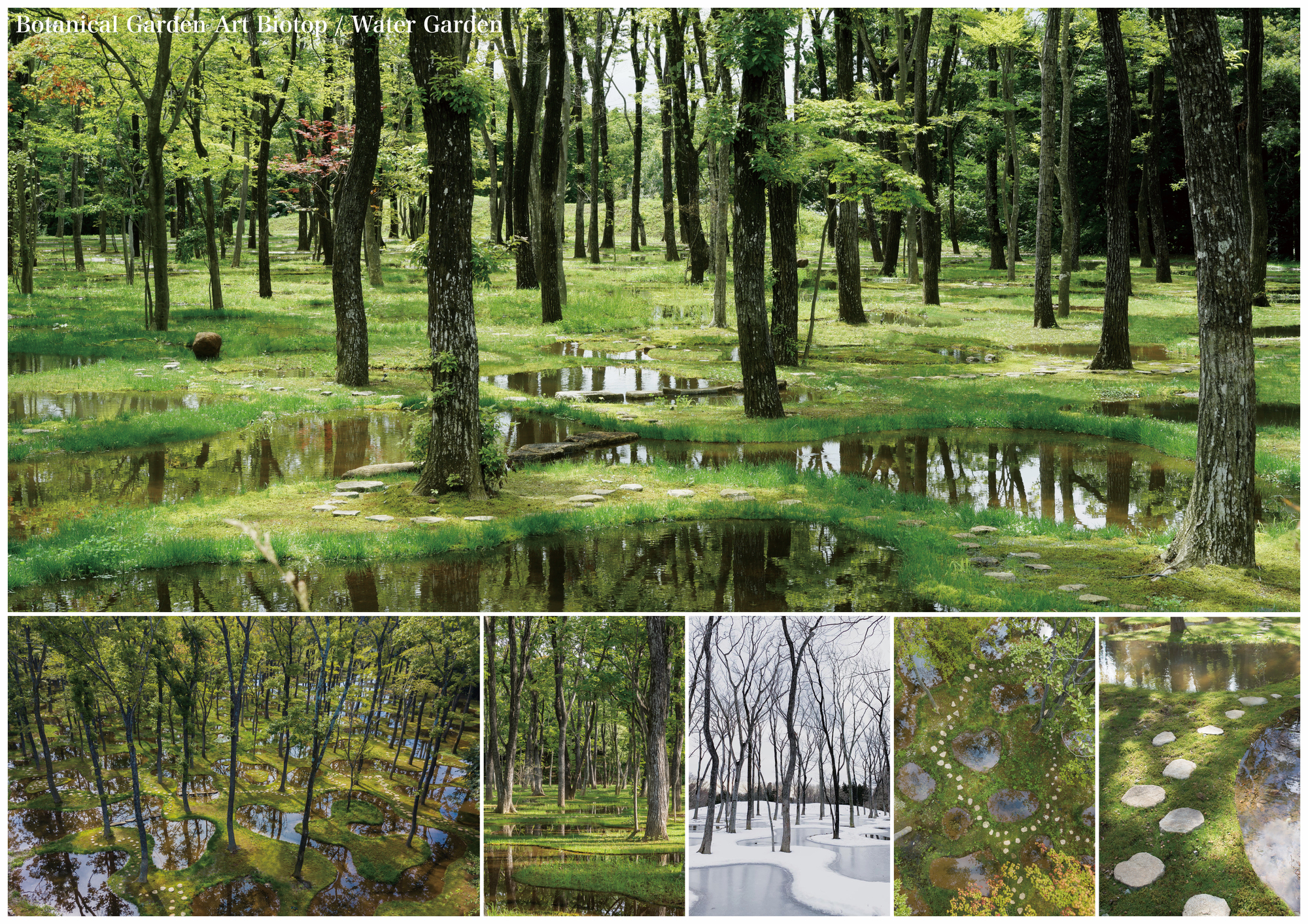 Gallery of Art Biotop Water Garden Recognized with Inaugural Obel Award 6