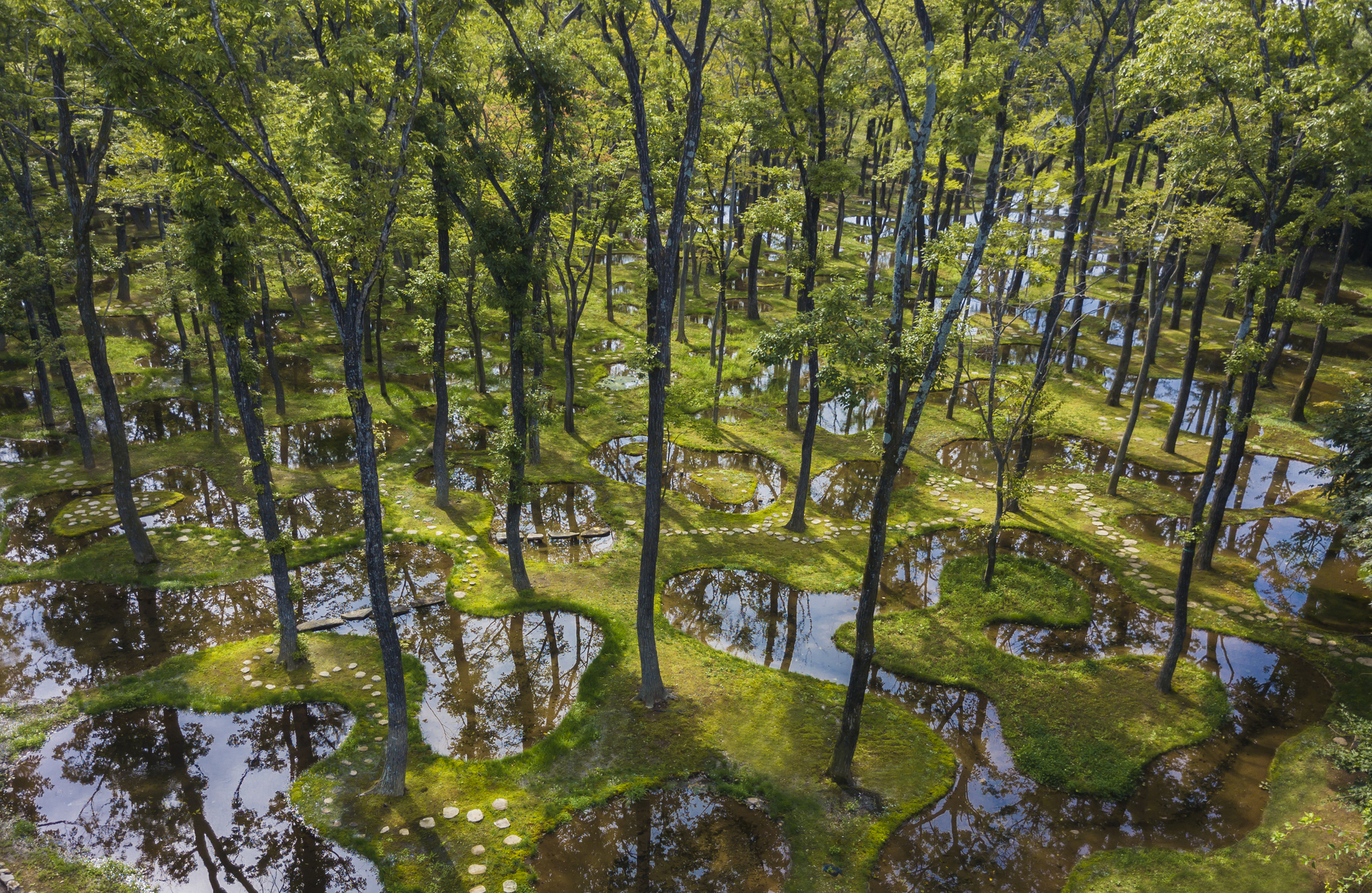 石上纯也'植物农场'项目获首届奥贝尔建筑奖| ArchDaily