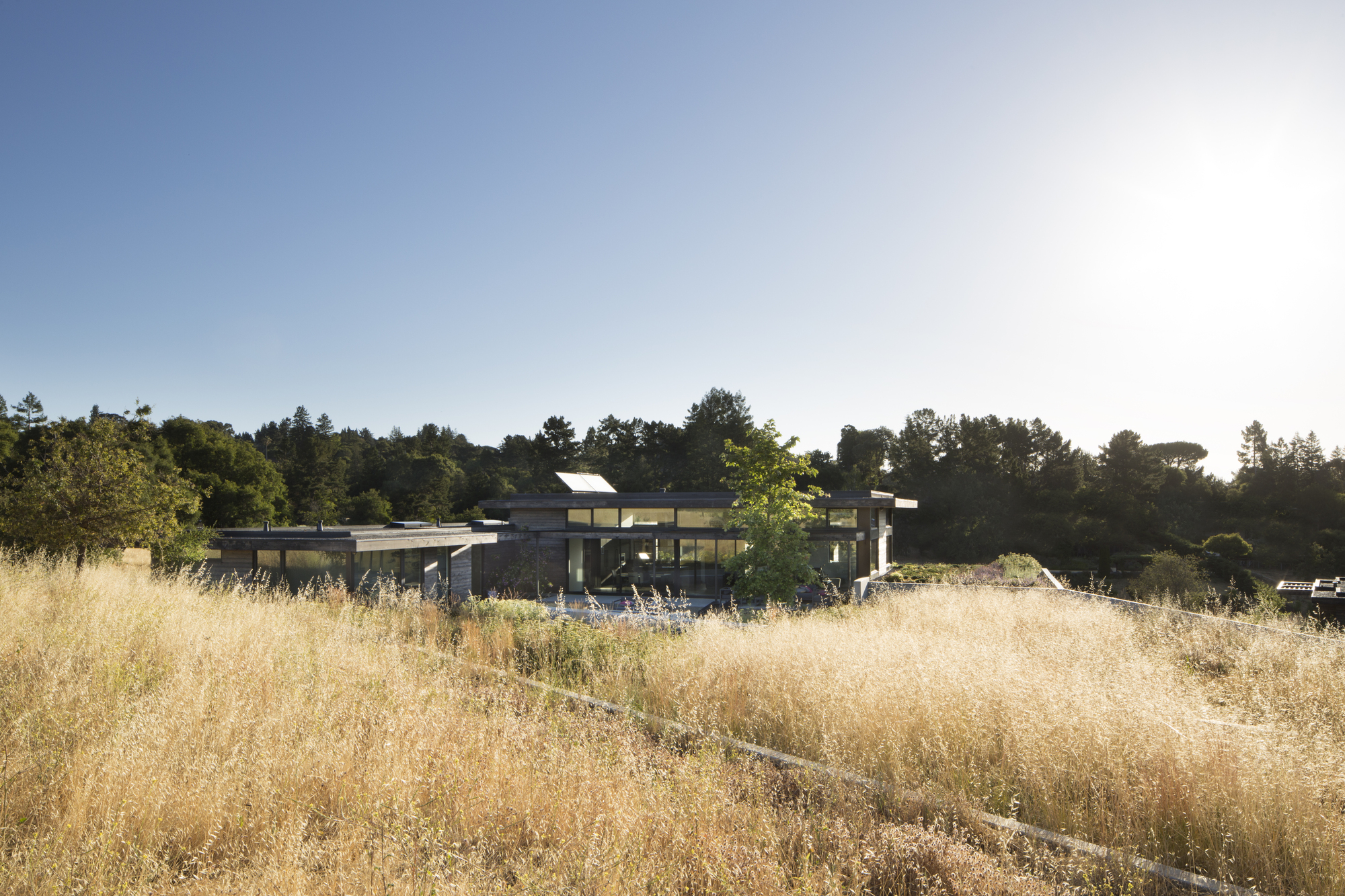 Gallery of The Meadow Home / Feldman Architecture 6