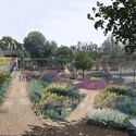 ONOFFICE Awarded First Prize for Botanical Park in Cyprus - Image 3 of 4