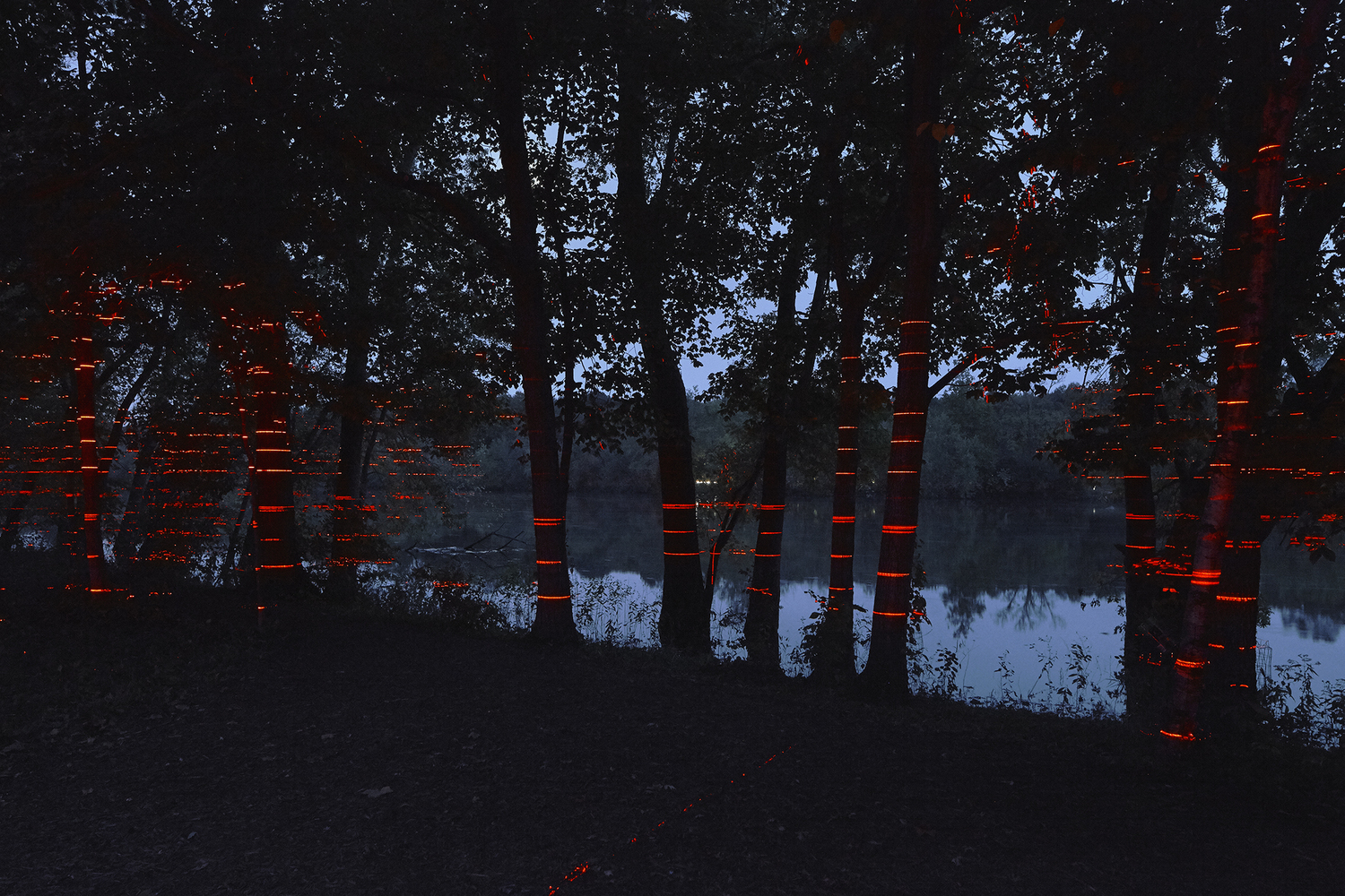 "Geometry of light": una intervención multimedia en la Casa Farnsworth - Imagen 22 de 22