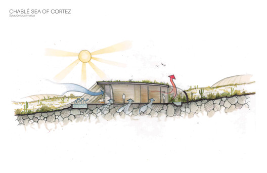 Sordo Madaleno Arquitectos presenta proyecto en las costas del Mar de Cortés en México - Imagen 14 de 15