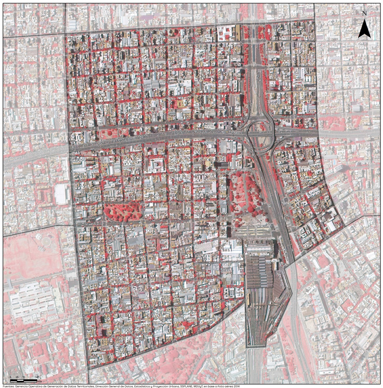 Como a vegetação se distribui na cidade de Buenos Aires? - Imagem 12 de 15