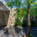 Stepping Green House / HGAA - Exterior Photography