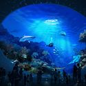 西雅图水族馆新海洋馆公布，LMN 寻求街区与海洋的联系 - Image 2 of 4