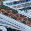 Jardim de Infância CIFI Donut / THDL - Jardim De Infância