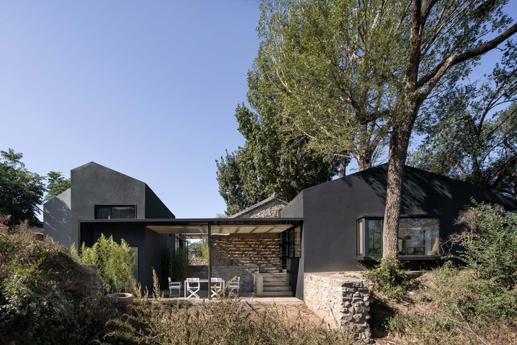 Yard under the Tree / Evolution Design - Image 7 of 33