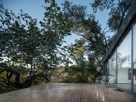 Yard under the Tree / Evolution Design Yard under the Tree / Evolution Design - Image 9 of 33