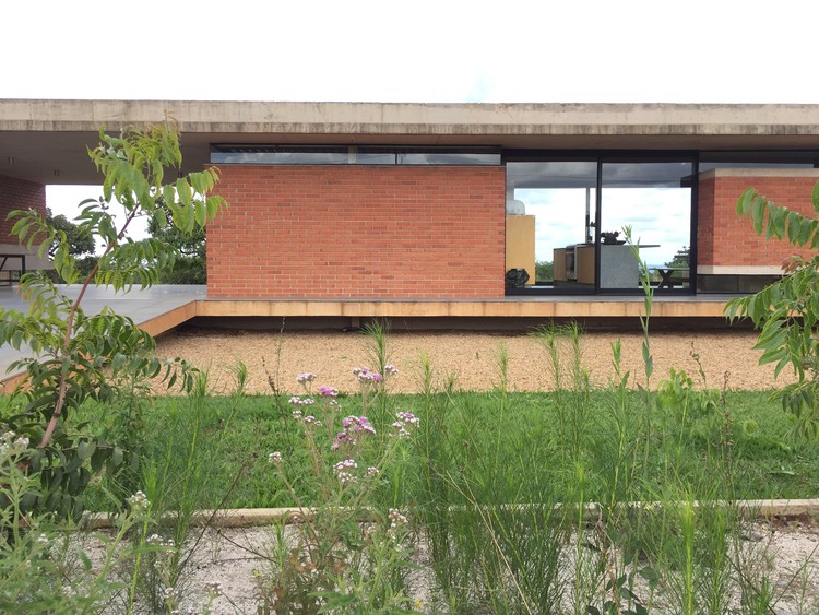 Paisagismo Naturalista: como plantar para o futuro  - Mais Imagens