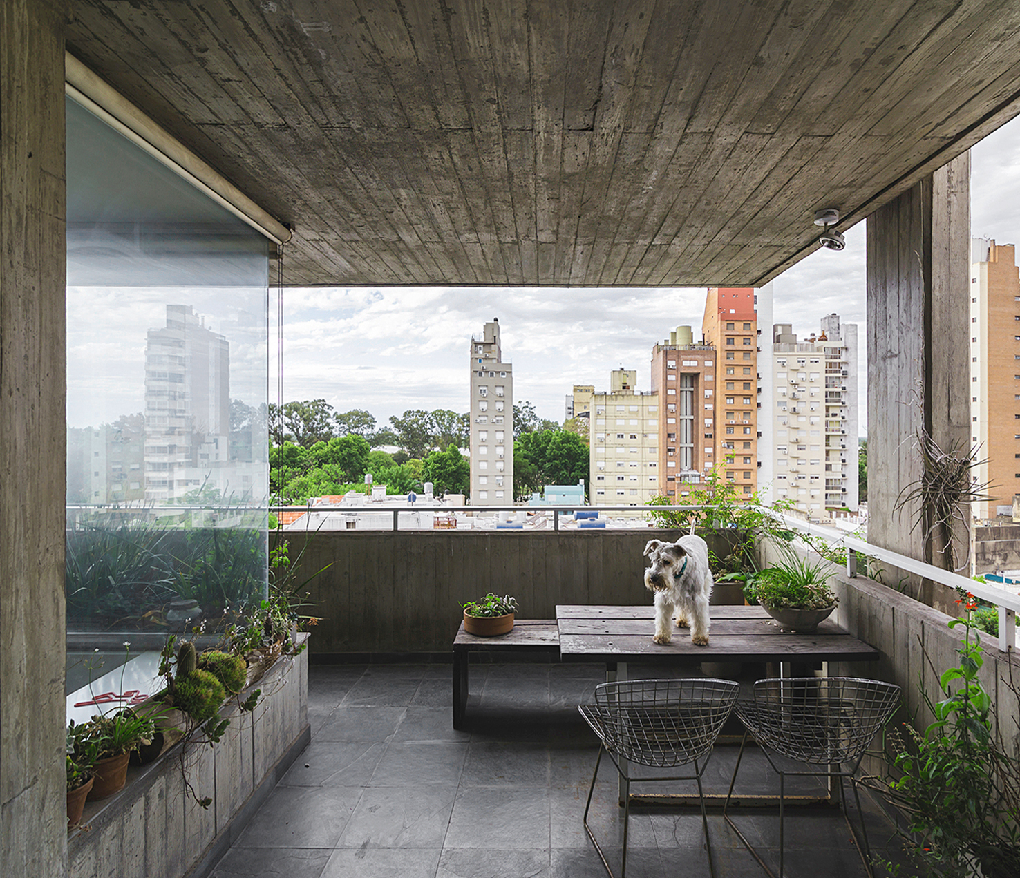 Gallery of Exposed Concrete Apartments in Argentina 9