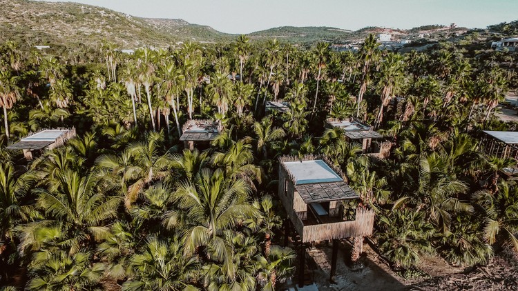 Casas en los árboles en Acre / FabrikG - Fotografía exterior, Bosque