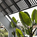 Fade to Green 10 - Điều phối c&acirc;y xanh v&agrave; &aacute;nh s&aacute;ng gi&uacute;p ng&ocirc;i nh&agrave; n&agrave;y gần gũi với thi&ecirc;n nhi&ecirc;n