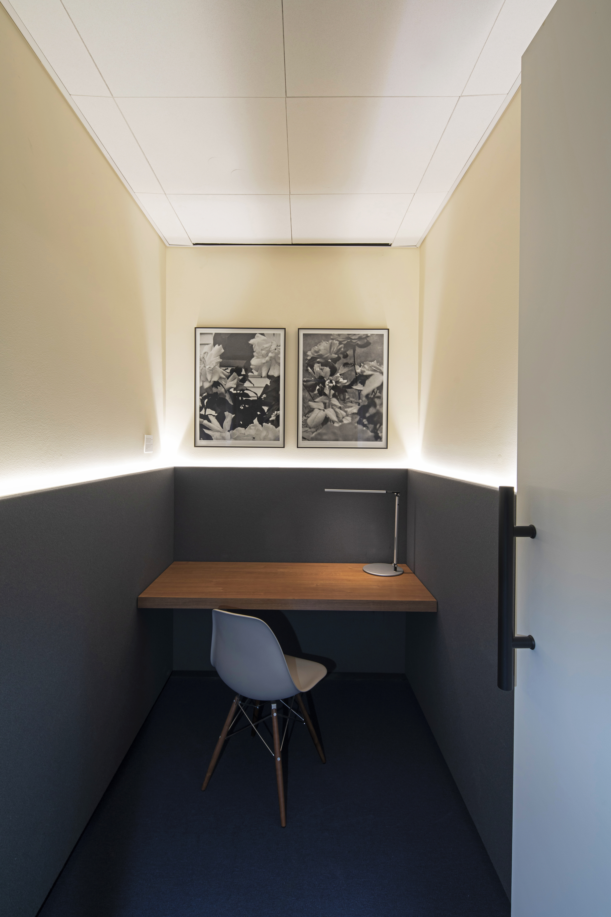 Gallery of Cisneros Group Miami Headquarters / Perkins and Will 15