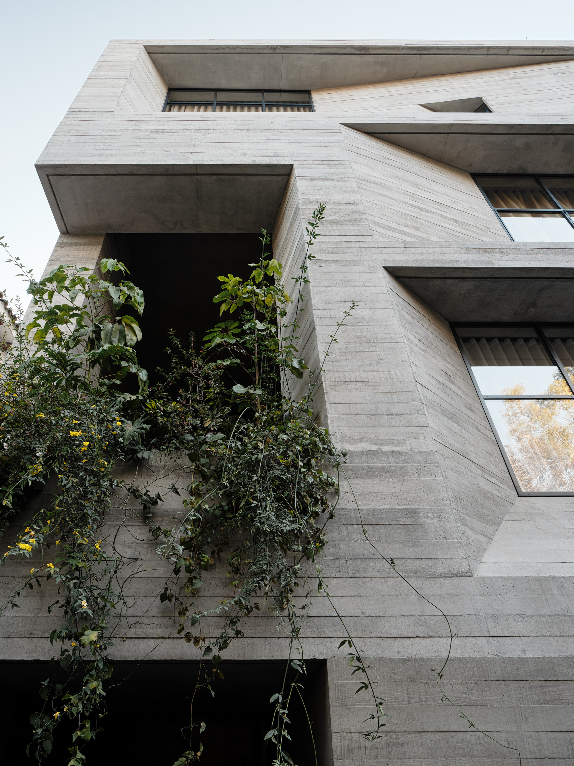 Gallery of Polanco House / Studio Rick Joy 7