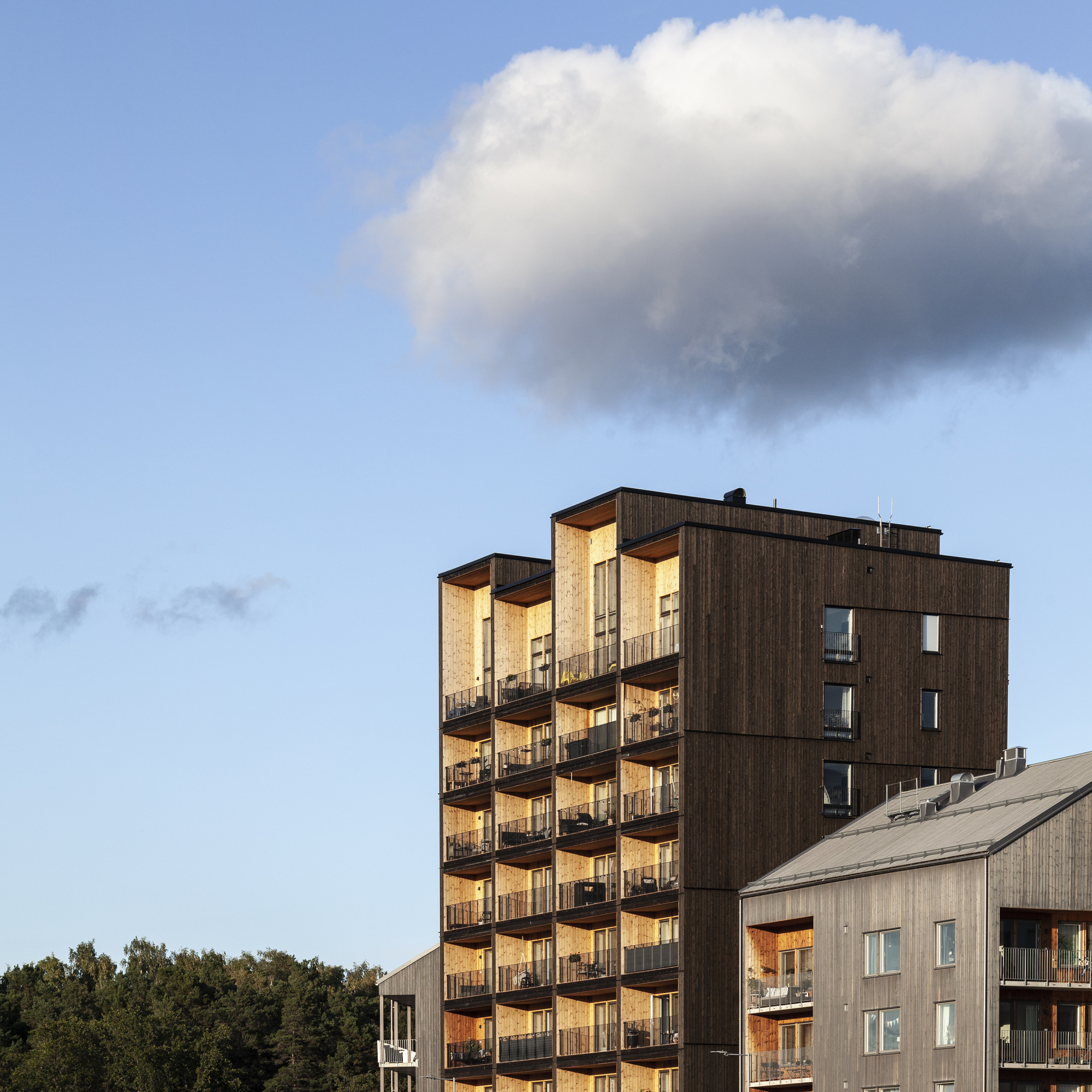 Gallery of Kajstaden Tall Timber Building / C.F. Møller - 15
