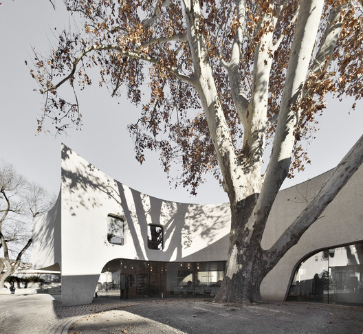 TreeHugger Tourist Information Office / MoDusArchitects - Exterior Photography