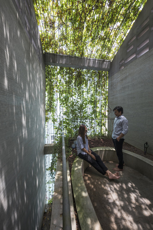 Creando jardines verticales y fachadas verdes con cables de acero - Imagen 14 de 22