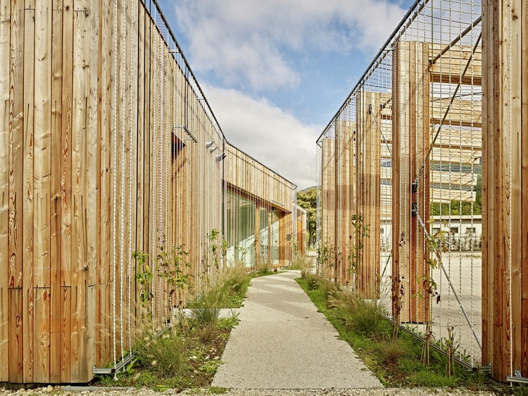 Creating Vertical Gardens and Green Facades with Steel Cables - Image 11 of 22