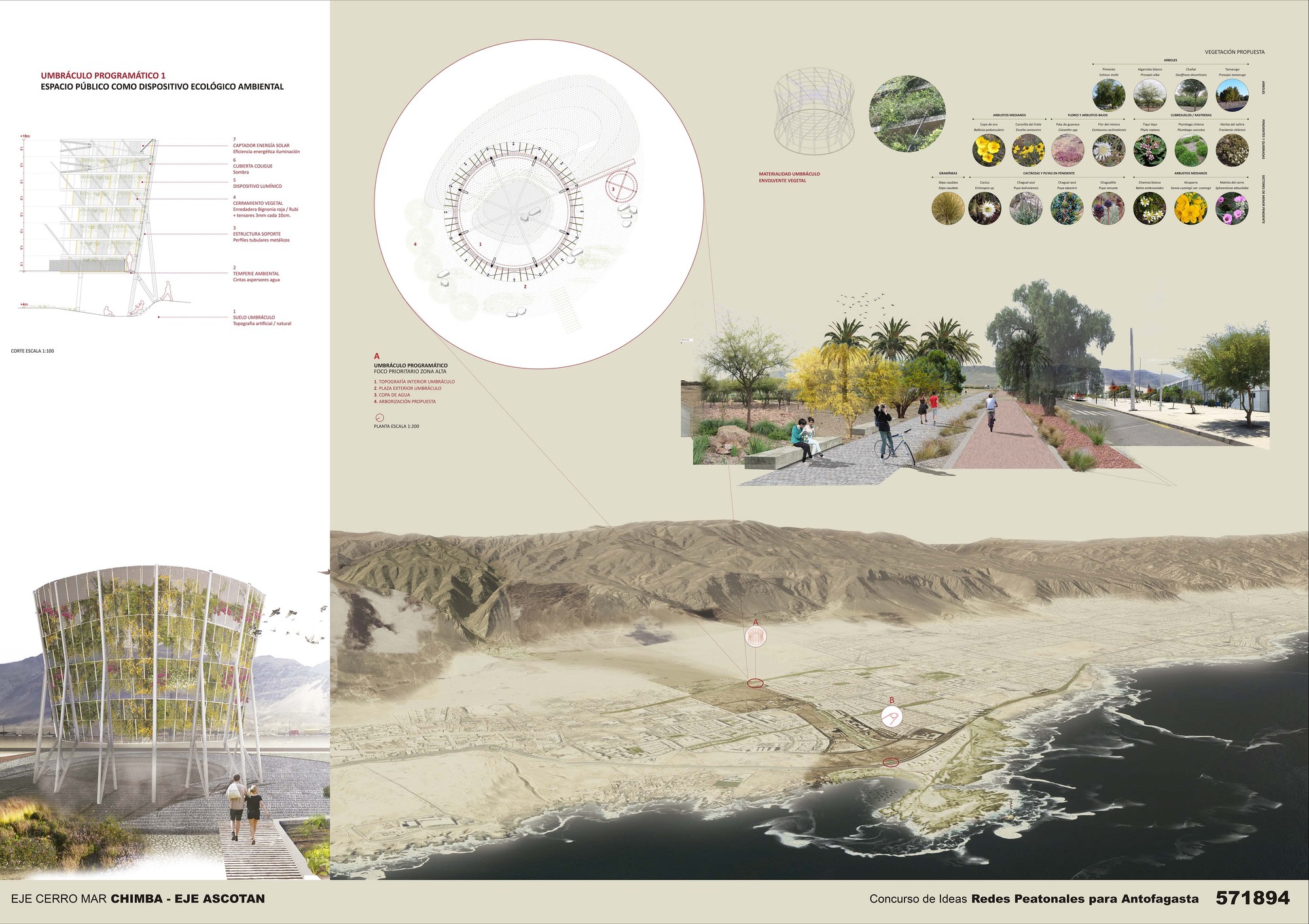 Galería de Redes peatonales para Antofagasta: Proyectos de diseño ...