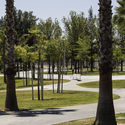 Magallanes Park / Vázquez Consuegra - Exterior Photography, Park